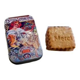 BOITE SAVON avec petits beurres artisanaux 28g
