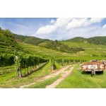 Autres vignobles